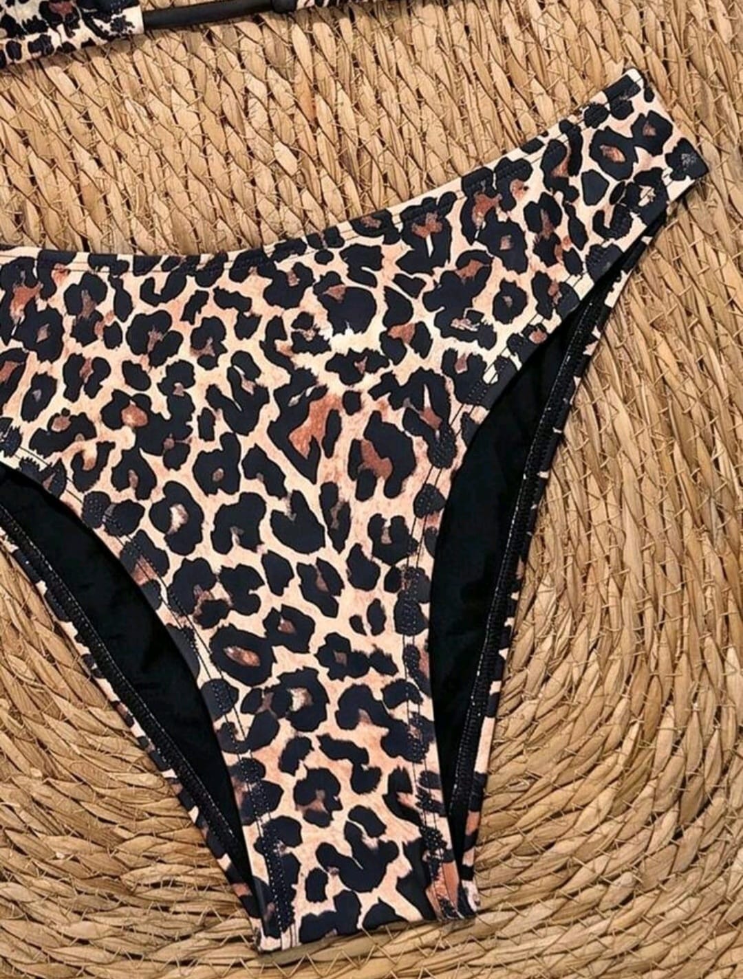 Trendy 2 pieces Leopard Print Triangle Bikini Set