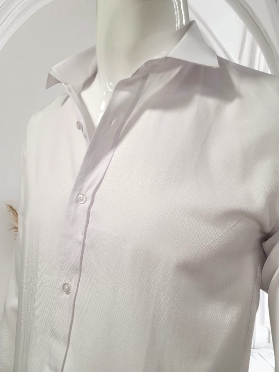Classic White Shirt