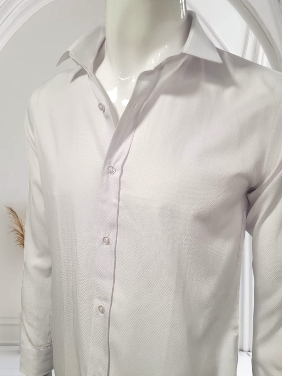 Classic White Shirt